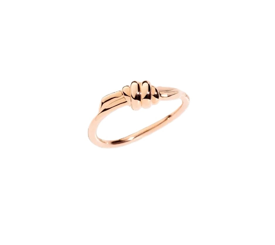 Sleek Minimalist Rose Gold Elegance
