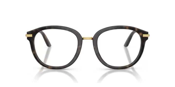 Timeless Tortoiseshell Acetate Elegance