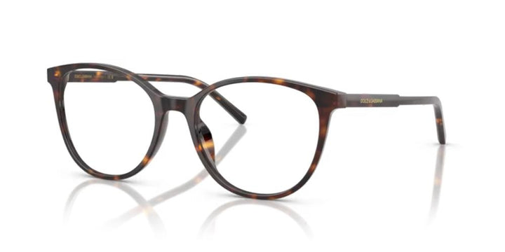 Timeless Tortoiseshell Elegance in Acetate Frames